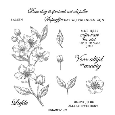 NIEUWE BLOESEMS CLING STAMP SET (DUTCH)