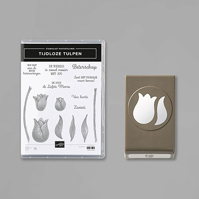 TIJDLOZE TULPEN BUNDLE (DUTCH)