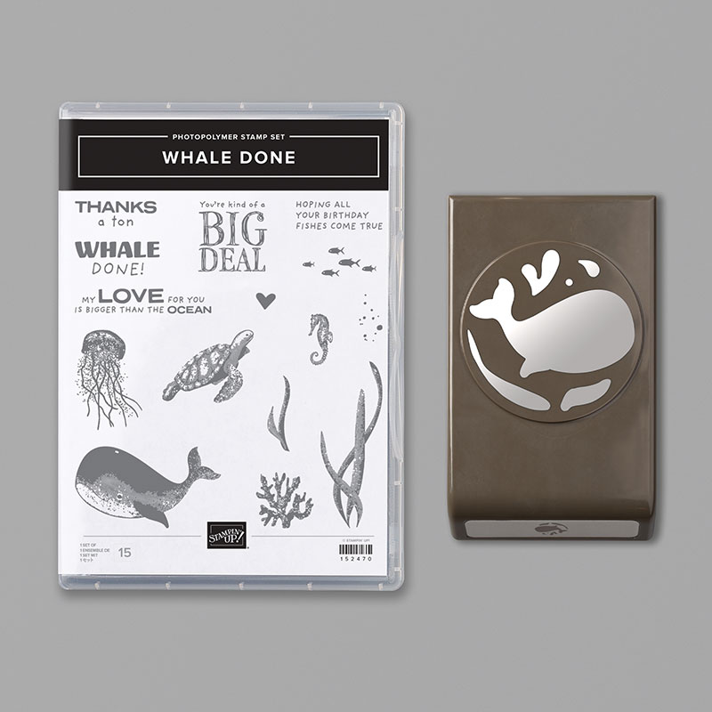 WHALE DONE BUNDLE (ENGLISH)